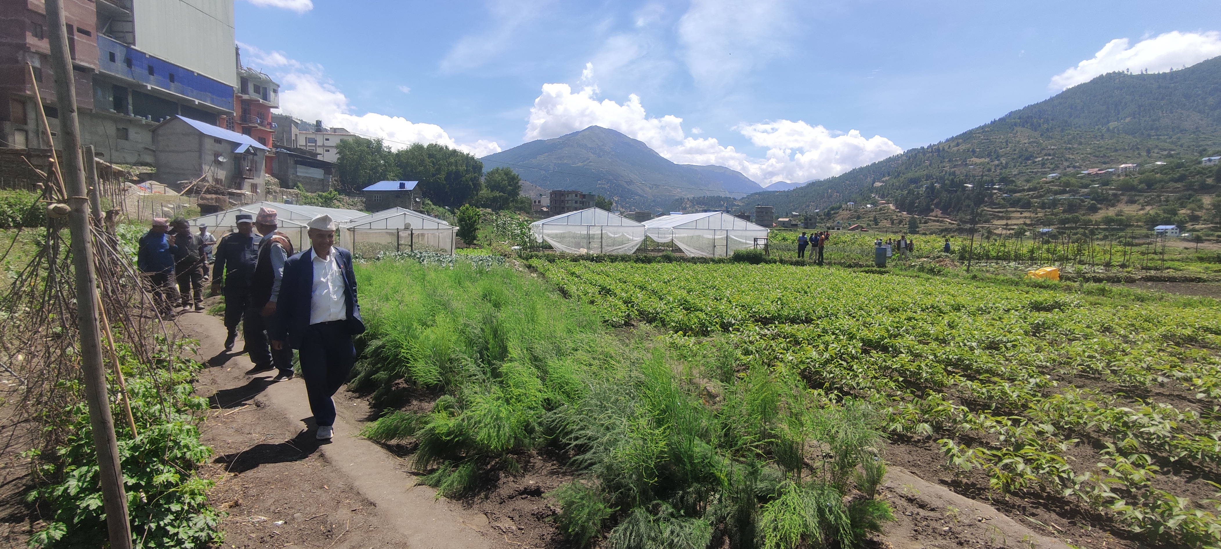 अन्तर निकाय संयुक्त अनुगमन कार्यक्रम