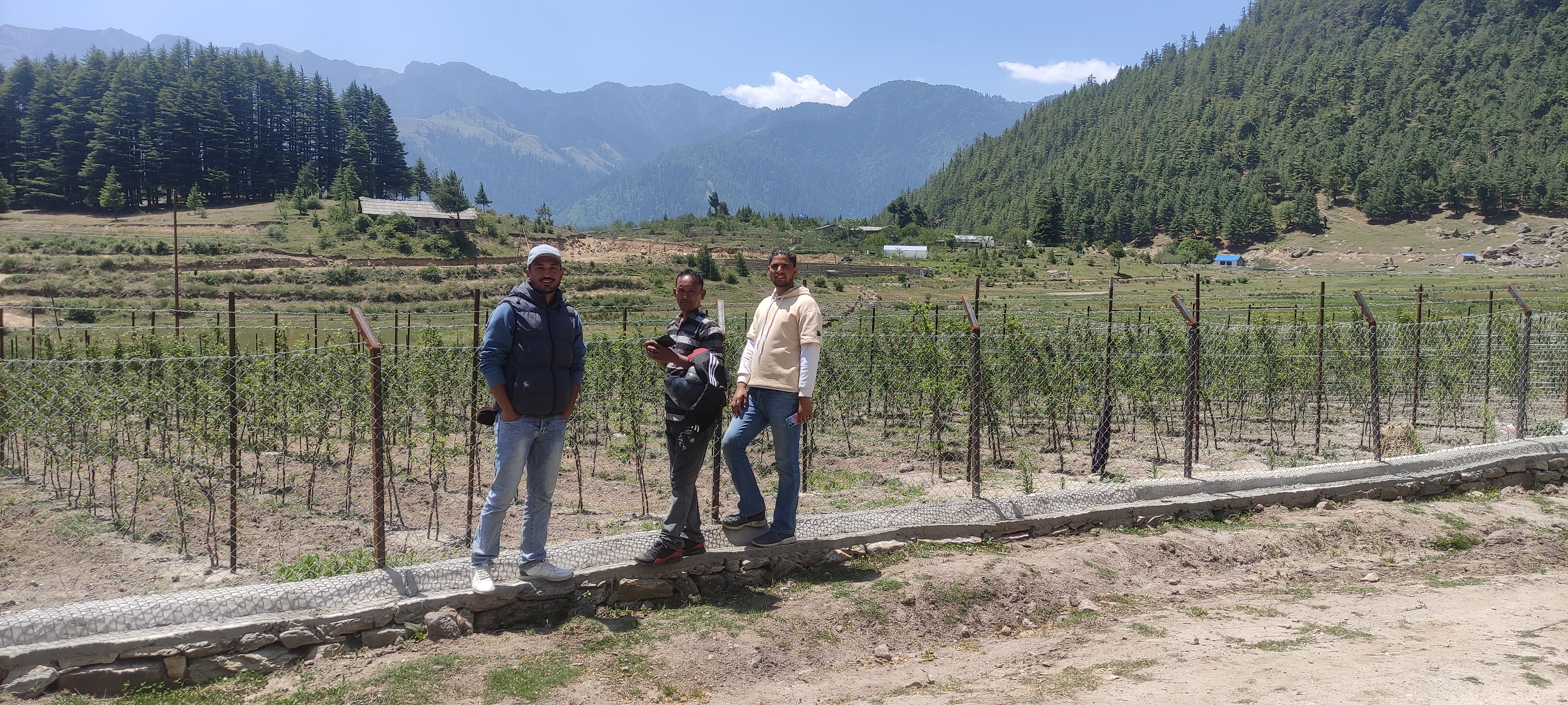 उच्च घनत्व स्याउ बगैचा अनुगमन तिलागुफा नगरपालिका - ३, फोई, कालिकोट