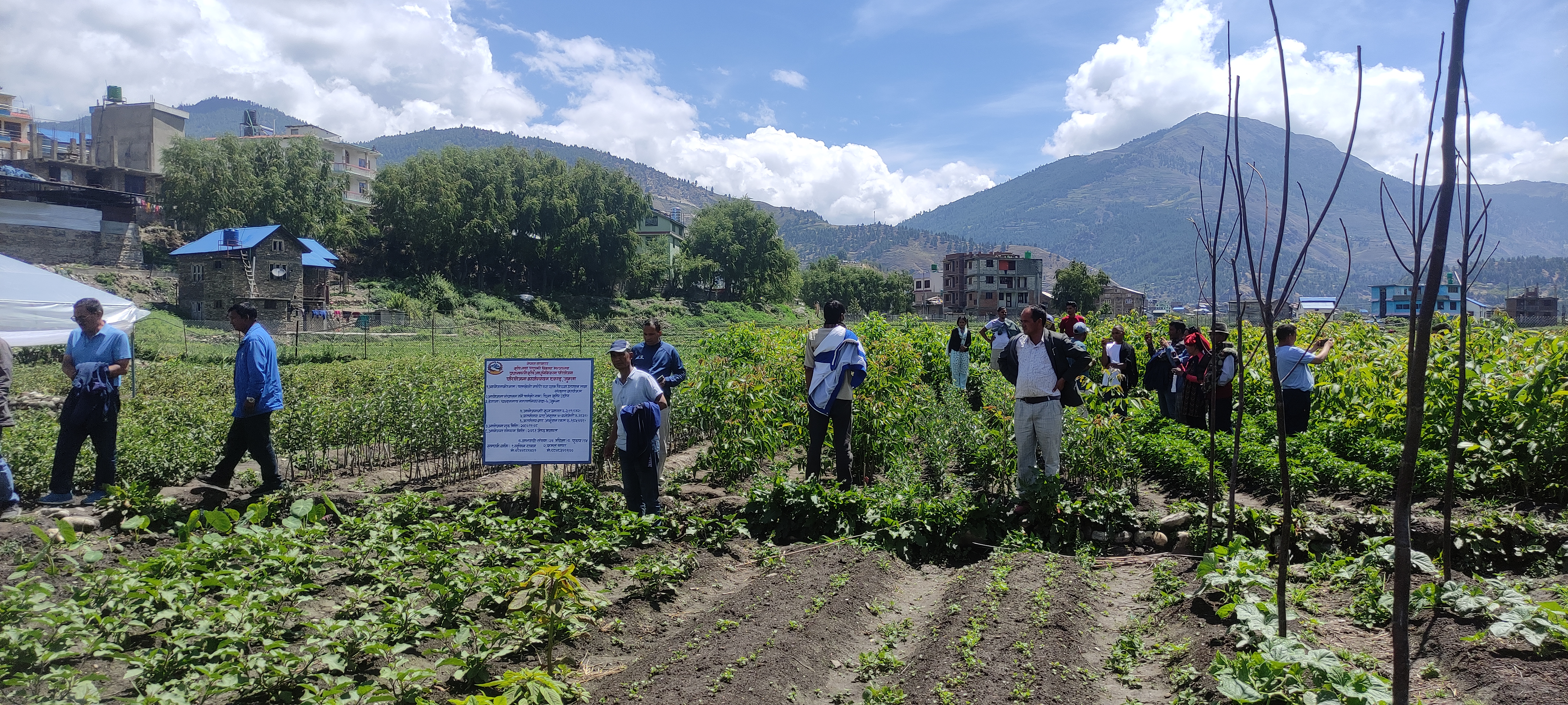 अन्तर निकाय संयुक्त अनुगमन कार्यक्रम